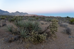 KJA03249-2