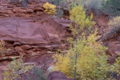 KJA02589-2