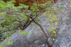KJA02608-2