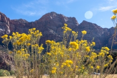 KJA02834-2