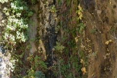 KJA02964-2